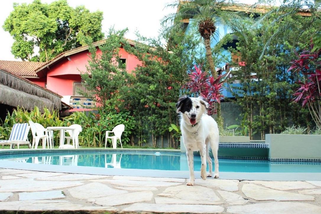 Pousada North Shore Maresias - 2 Quadras Da Praia - Casas De 2 Quartos - 80 M2 -2 Banheiros -Piscina Sauna - Estacion-Churrasq Privativa -Wifi Animais De Peq Porte Roupa De Cama E Banho Exterior foto
